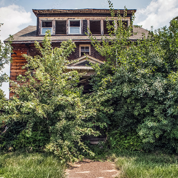 Fire-damaged-abandoned-house-overgrown-with-trees-and-bushes